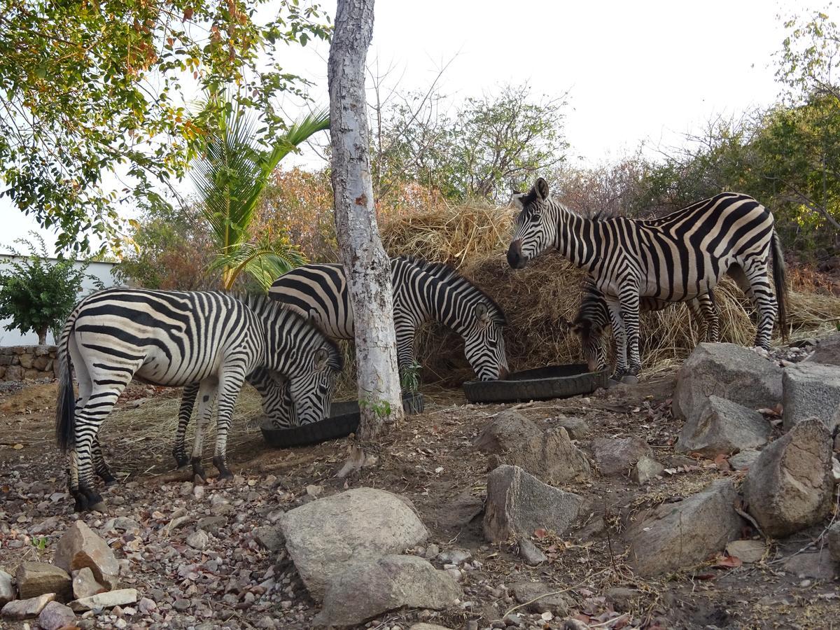 Lake Kariba Inns Siavonga Eksteriør billede